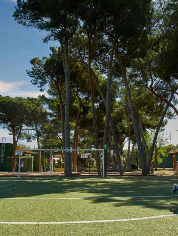 the_british_schoolof_gave