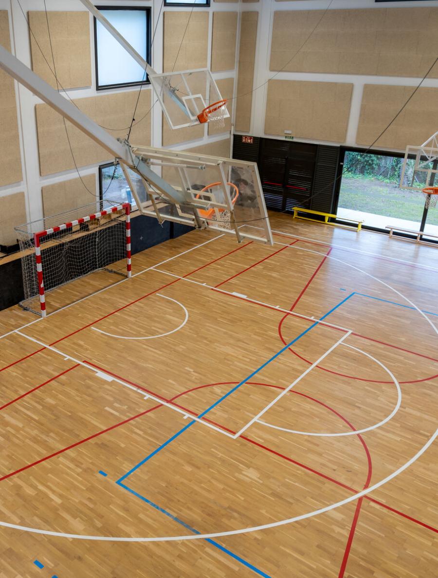 baloncesto en primaria